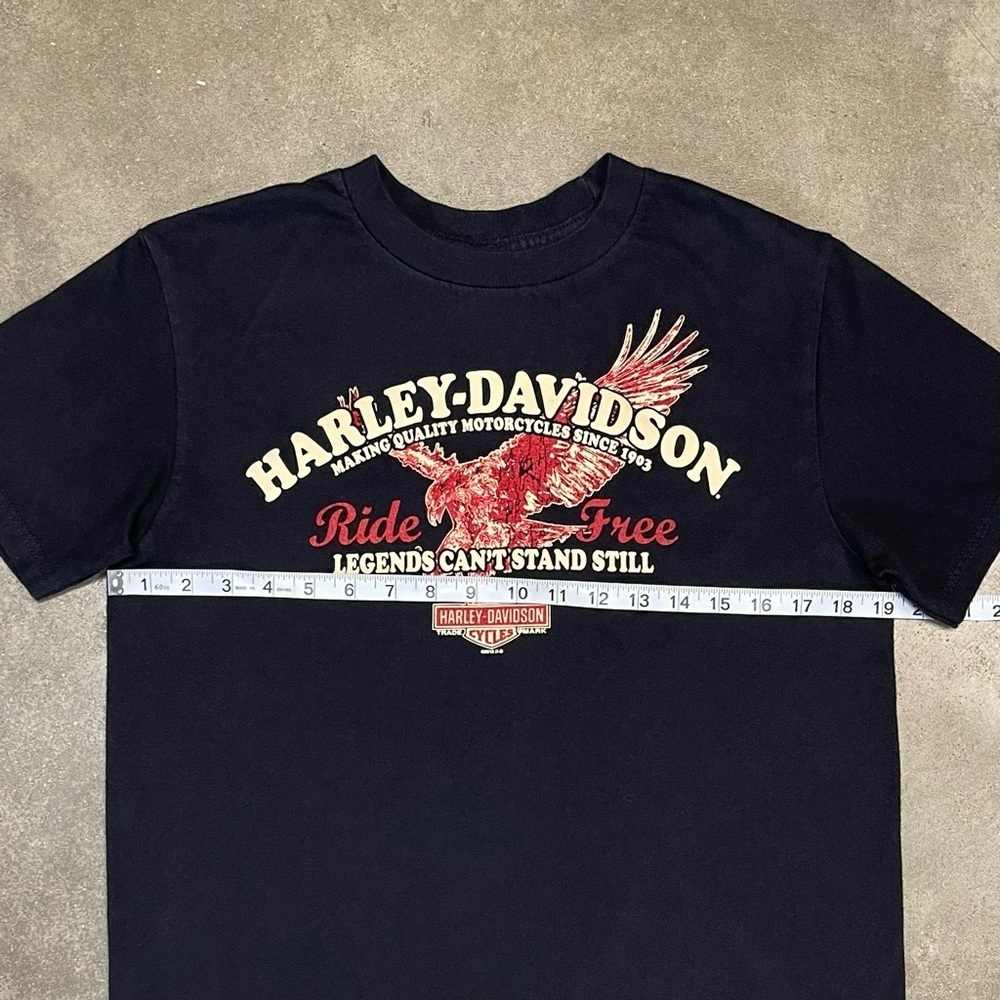 Vintage Harley Davidson Graphic 2010 Biker Grunge T-shirt - Picture 7 of 10